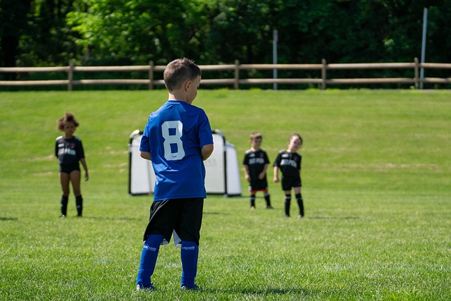 意志以及他 意志以及他