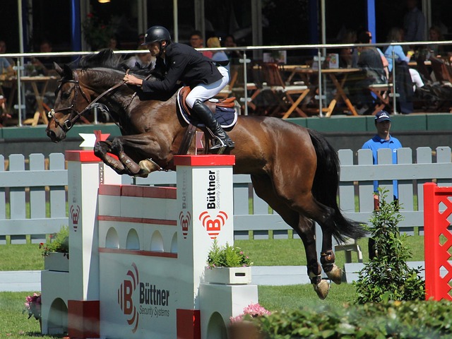 固的基础 固的基础