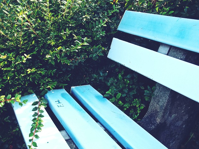 夏天告别亚 夏天告别亚