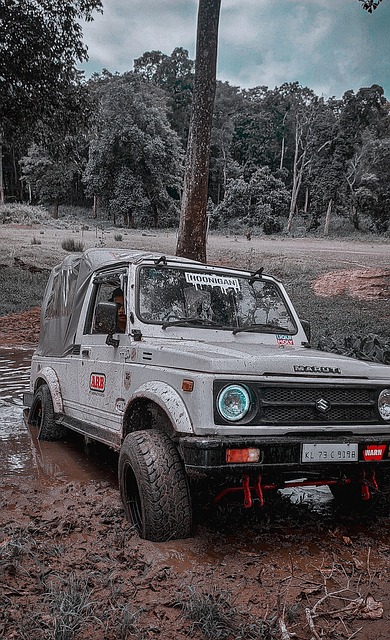 这个名字早 这个名字早